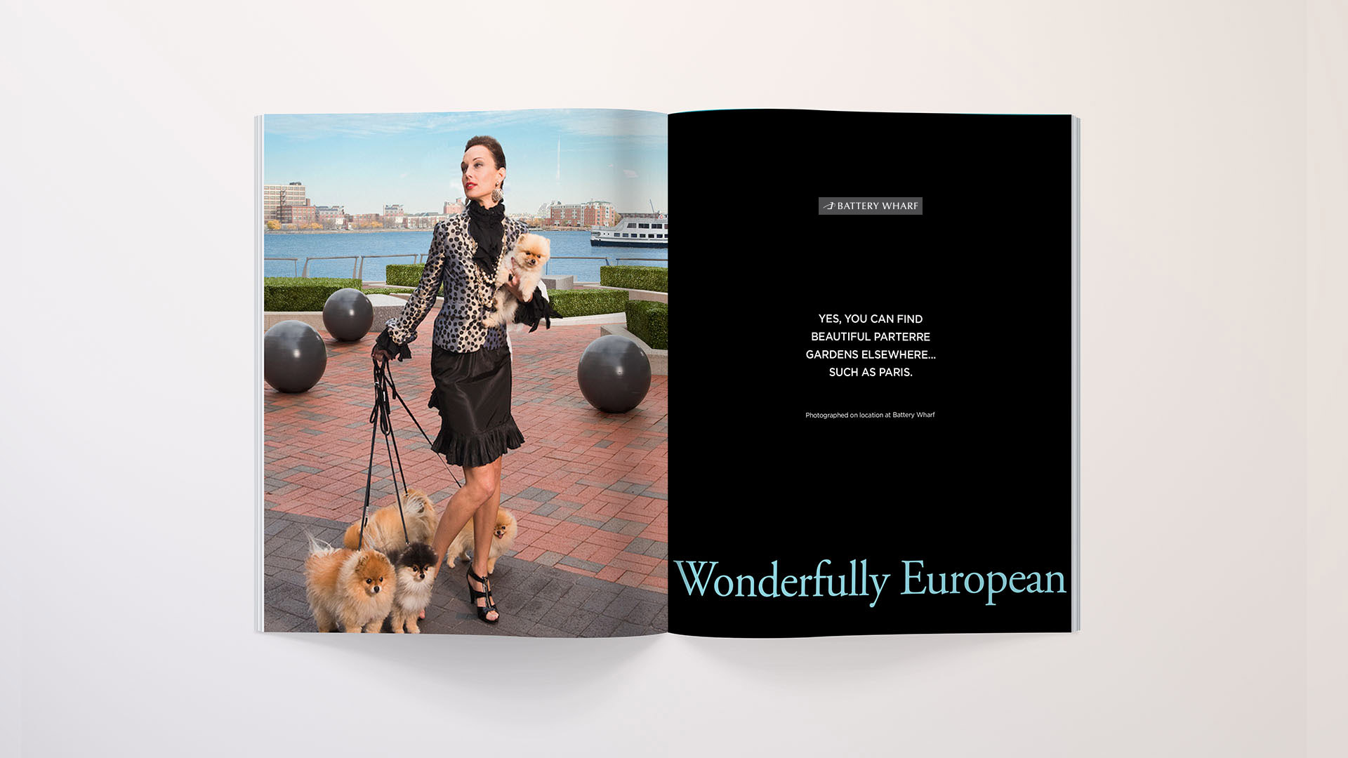 battery wharf woman with dogs logo design boston