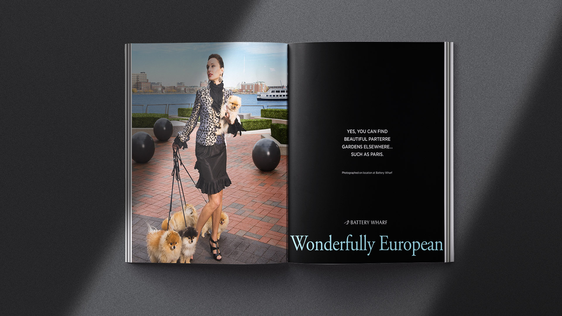 battery wharf woman with dogs double page spread on black