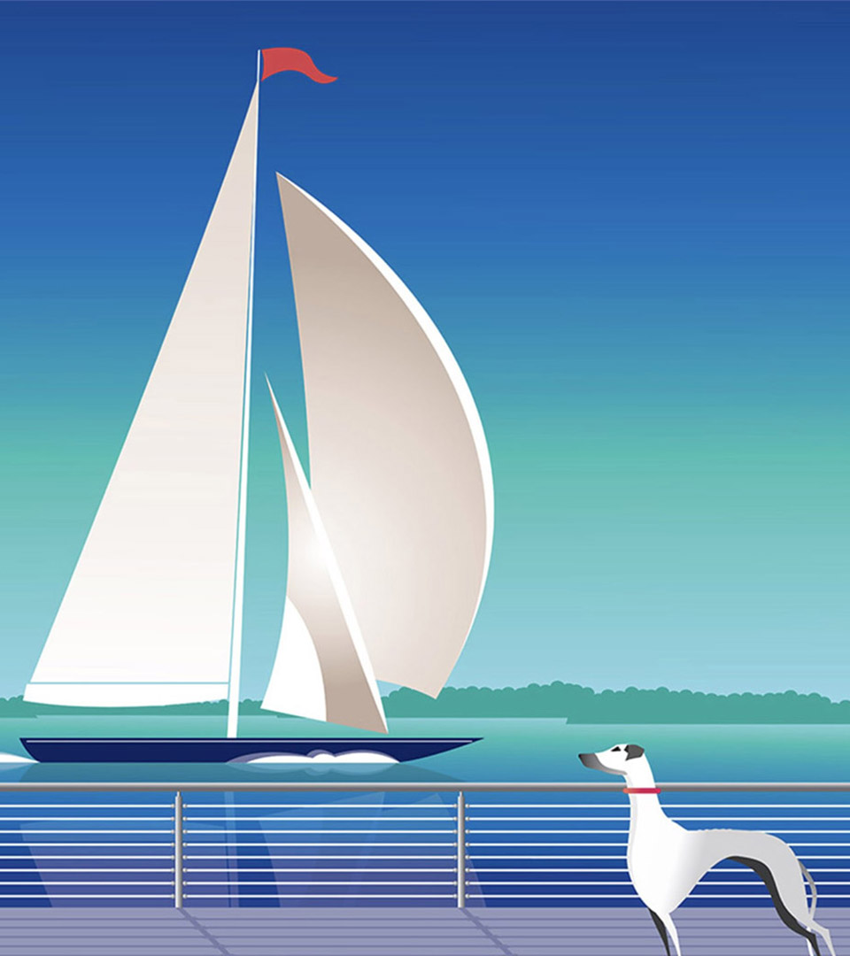 brio hingham dog watching sailboat with red flag