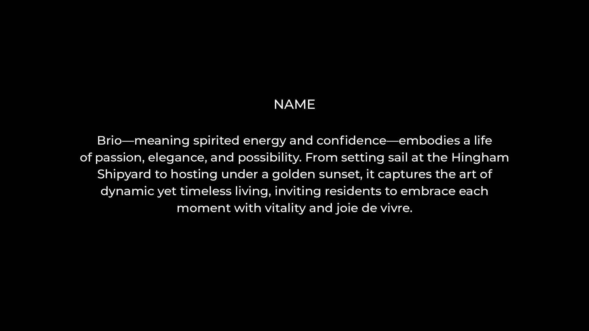 brio name description on black